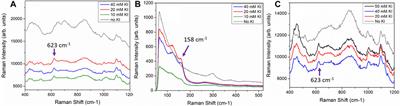 Iodide Functionalized Paper-Based SERS Sensors for Improved Detection of Narcotics